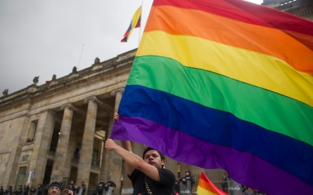 Colombia court rules for same-sex adoptions