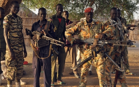UN panel recommends arms embargo, sanctions on South Sudan