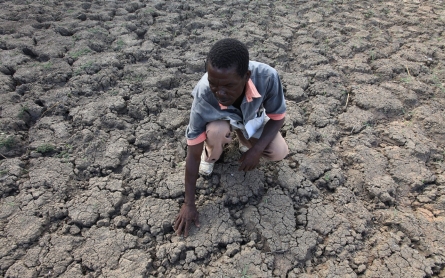 Drought-stricken Zimbabwe declares state of disaster