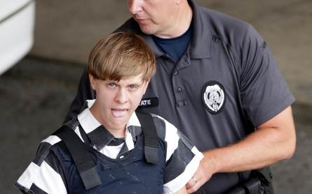 Charleston shooting is domestic terrorism  