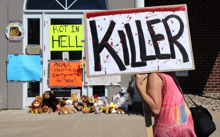 Samuel Dubose, Cecil the lion and the ethics of avowal