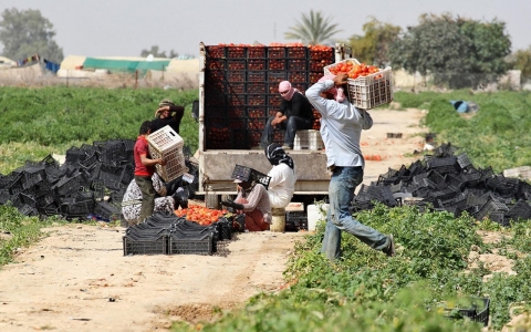 Thumbnail image for Jordan’s illegal labor puzzle: Let Syrian refugees work or just survive? 