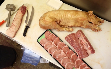 Six better reasons not to eat pork