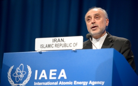 Ali Akbar Salehi, the head of Iran's nuclear program, speaks at an International Atomic Energy Agency conference in November 2013.