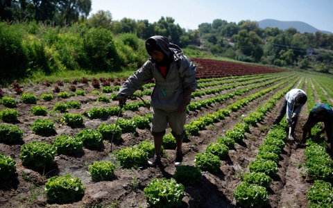 The Botulism Outbreak That Gave Rise to America's Food Safety