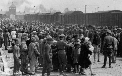 Thumbnail image for Auschwitz guards to face criminal probes in Germany