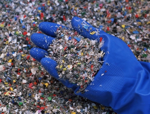 shredded plastic waste