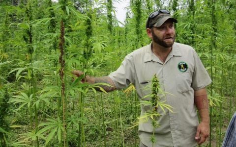 Thumbnail image for Kentucky’s great hemp hope