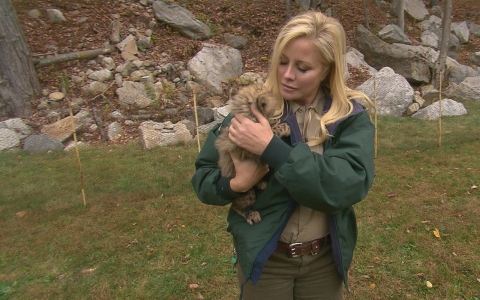 LEO Zoological Conservation Center Director Marcella Leone holds one of the cubs