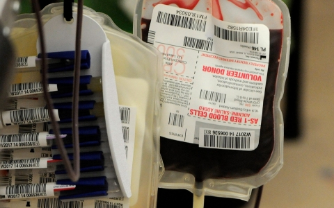 Thumbnail image for Federal agency says gay men should be able to donate blood