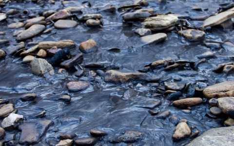 Thumbnail image for Coal slurry spill pollutes W.Va. creek