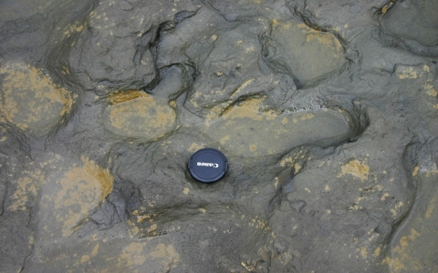 Thumbnail image for Scientists find 800,000-year-old footprints in UK