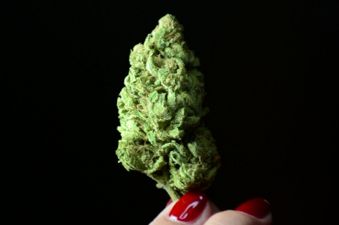 Thumbnail image for DC City Council votes to decriminalize marijuana possession