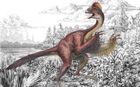 Thumbnail image for Scientists give formal name to 'chicken from hell' dinosaur