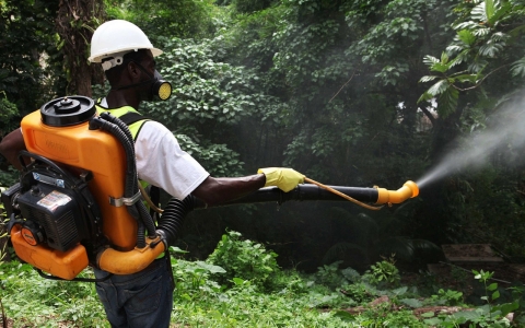 Thumbnail image for  Mosquito-born chikungunya virus spreads in Caribbean