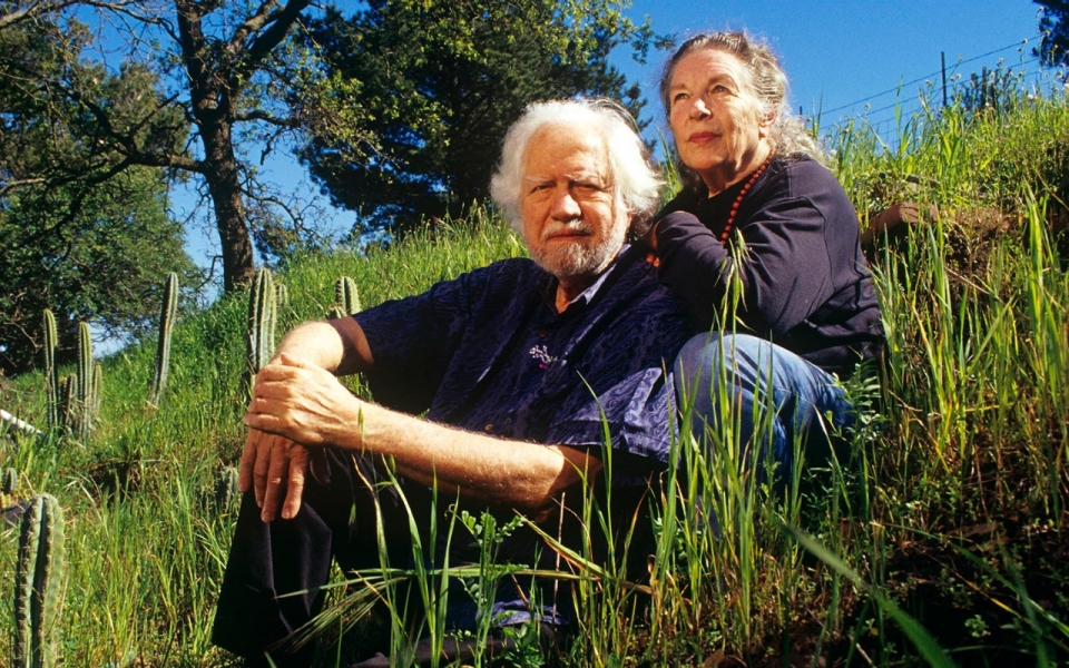 src.adapt.960.high.shulgin_060414.1401920536489.jpg