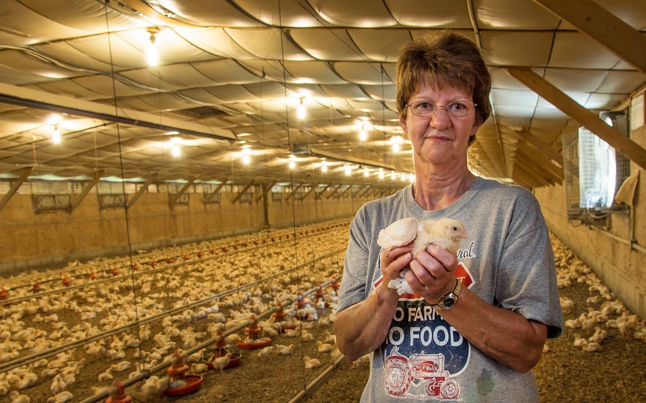 Poop in the coop: Chicken farmer battles the EPA