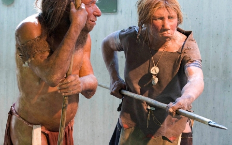 Thumbnail image for Neanderthals co-existed with modern humans for thousands of years