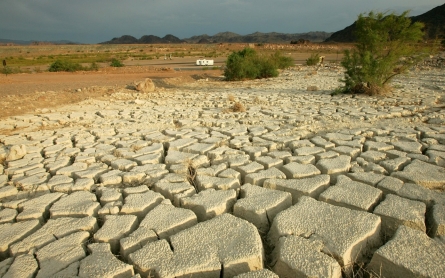 What should California do about its drought?