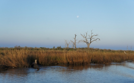 As Louisiana’s marshes erode, so does the Houma Indians way of life