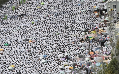 Thumbnail image for Saudi Arabia Hajj disaster death toll rises
