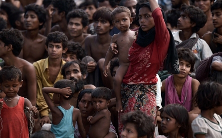 Amnesty International says Rohingya death toll higher than UN estimates