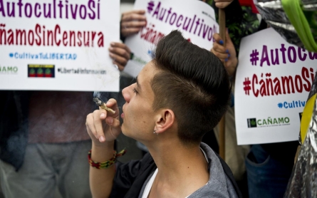 Mexico Supreme Court rules pot use is constitutional right