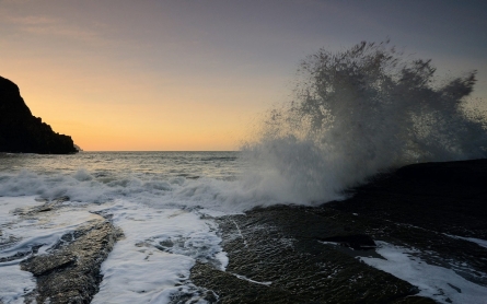 Threat from oxygen loss in oceans left off table in Paris talks 