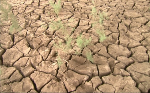 Thumbnail image for UN head warns at Paris talks of ‘climate catastrophe’