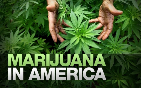 Marijuana in America
