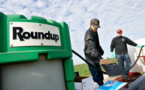 Thumbnail image for WHO: Ingredient in Monsanto Roundup ‘probably carcinogenic’ to humans