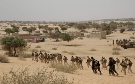 Chad, Niger to launch joint offensive against Boko Haram in Nigeria