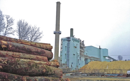 A city goes renewable, but raises questions about impact of biomass power