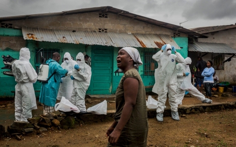 Thumbnail image for Number of new Ebola cases holding steady, WHO says