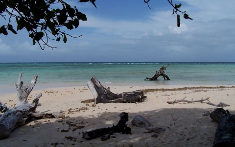 Thumbnail image for Pacific islands hope to persuade world to move on climate change