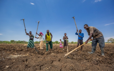 Zambia: Wildlife poachers trade guns for gardens