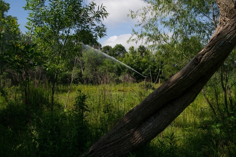 Alabama spray field