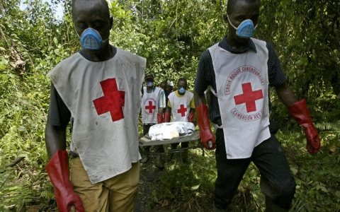 Thumbnail image for Red Cross warns against false use of its emblem in Cameroon