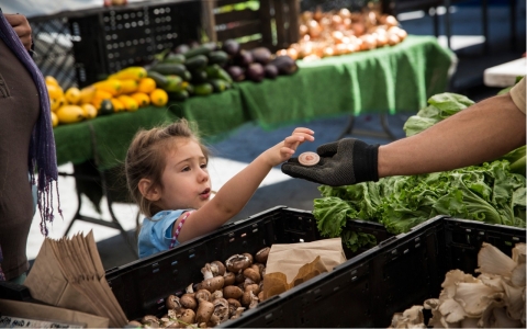 Thumbnail image for ‘Food hardship’ found to have reached post-recession low