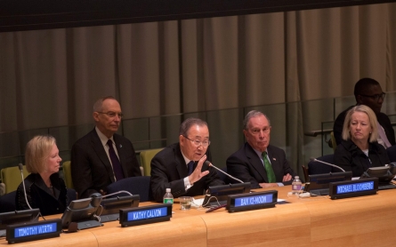 UN chief wants clean energy investments doubled 