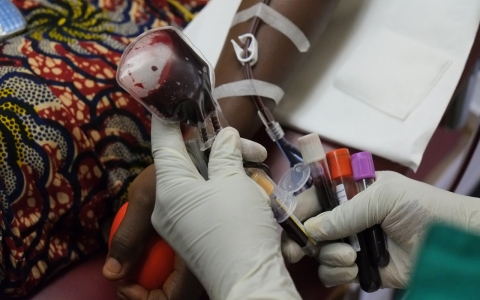 Thumbnail image for Study of blood plasma as Ebola treatment yields disappointing results