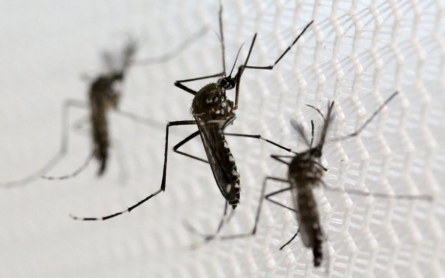 Health officials report first US Zika virus transmission