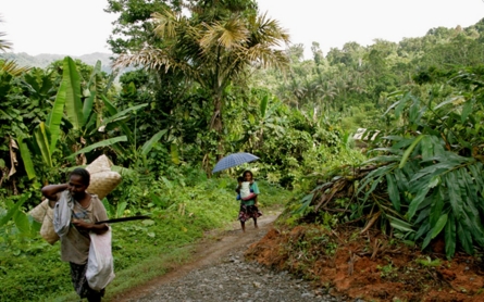 Solomon women carry climate change burden