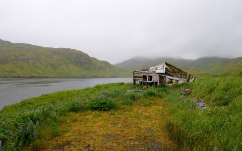 Adak, Alaska