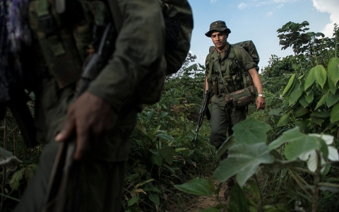 Thumbnail image for In the jungle, FARC rebels prepare for peace