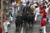 Pamplona running of the bulls