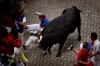 Pamplona running of the bulls