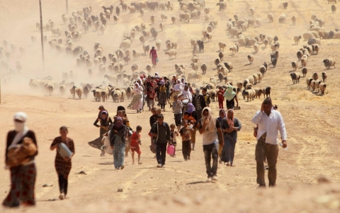 Thumbnail image for Photos: Yazidis flee fighting in northern Iraq