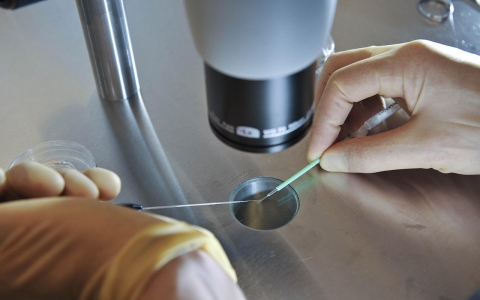 Thumbnail image for Opinion: Three-parent IVF is here, and there’s nothing to fear