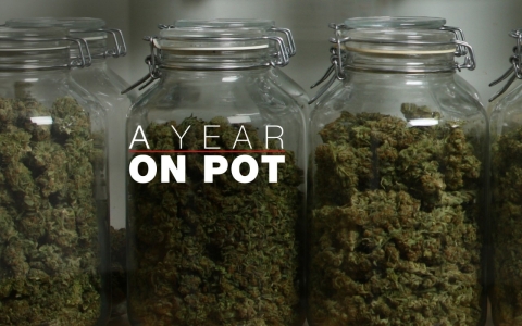 A Year on Pot